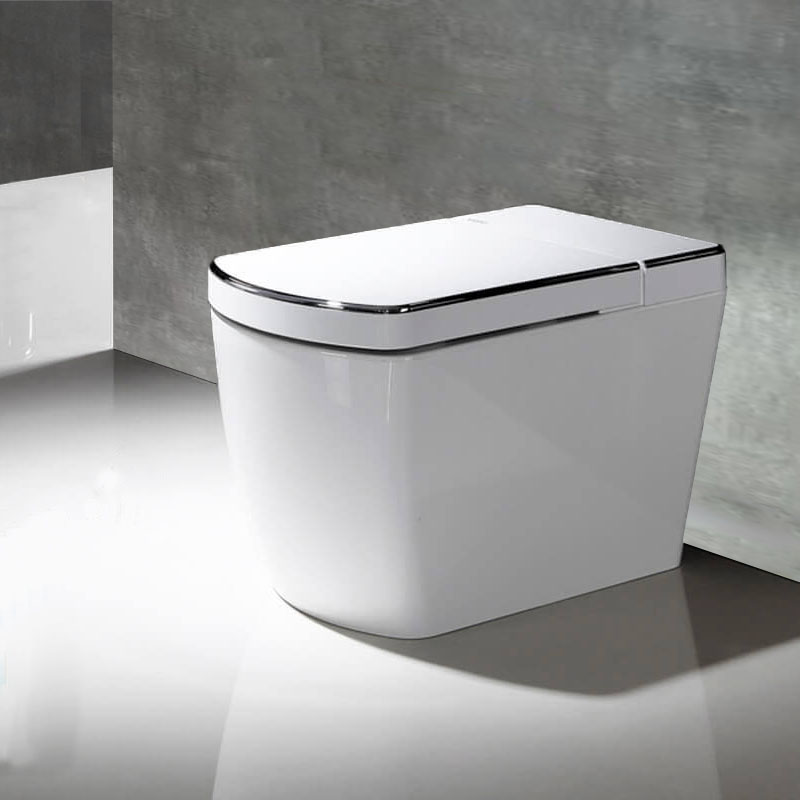 inodoro japonés SL620 